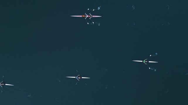 Early morning sunlight graces Halifax Harbor as dedicated athletes row in harmony. From singles to quads, their movements showcase strength and teamwork, preparing for competition
