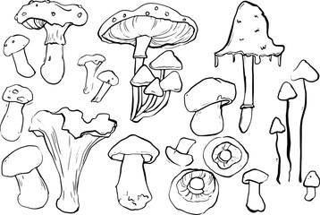 Fototapeta premium Mushrooms set naive green sketch pattern vector Stock Vector