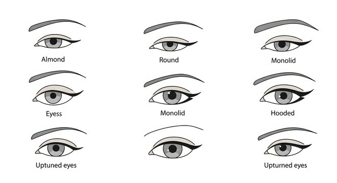 Illustration of Different Eye Shapes with Descriptive Labels