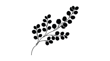 Eucalyptus branch silhouette against a white background © EY