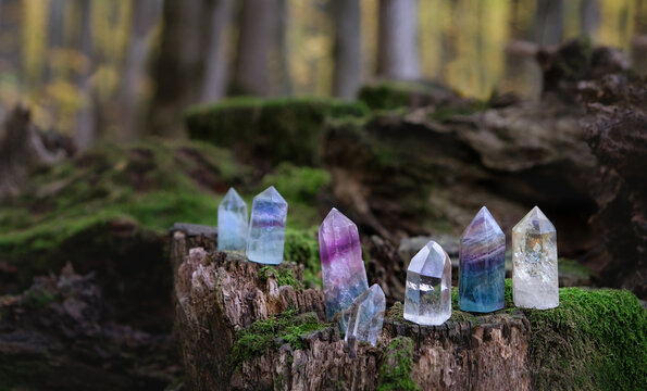 set of quartz gemstones close up on tree stump in forest, natural background. minerals for Magic crystal ritual. Witchcraft, spiritual esoteric ceremony. Lithotherapy for life balance, harmony, relax