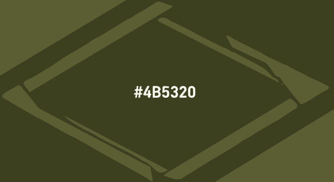A dark green background with a diamond shape in the center displaying the hex code #4B5320.