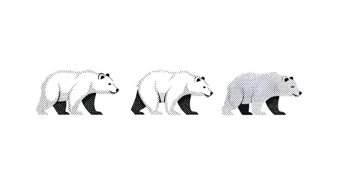 Silhouette sequence of walking polar bear steps.