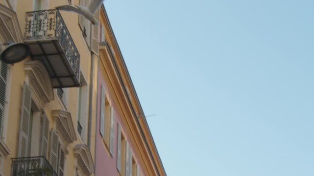 4K French Riviera Nice seagull flying from place Massena with Apollo's fountain in the back slow motion