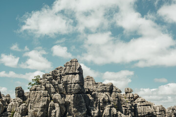 Eroded grey steep rock formations with some vegetation under a blue sky with some clouds. National Park of El Torcal de Antequera, Andalusia, Spain. © ysbrandcosijn