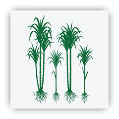 Fototapeta premium Wild Tropical Grass Silhouette Set Vector Illustration