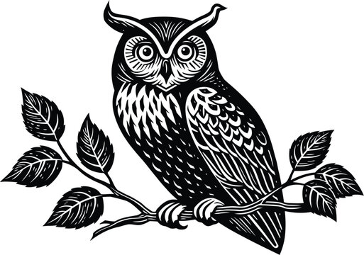 Owl on a branch graphic woodcut style illustration