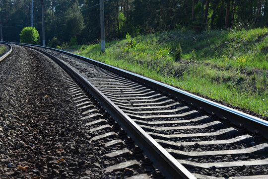 Curved railway tracks through a green forest landscape low angle view