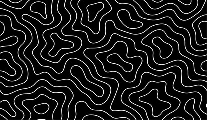 Fototapeta premium Abstract Topographic Contour Lines Vector Illustration Design in Black and White with Flowing Organic Map Pattern for Modern Minimal Background, Geographic Terrain Line Art Texture.