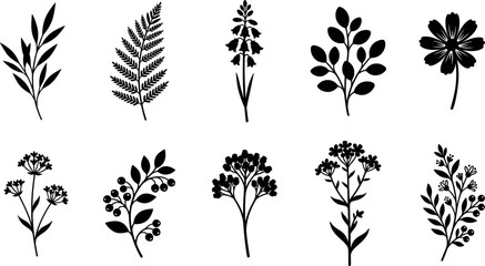 Set of isolated black silhouette botanical and floral elements featuring diverse leaves, fern, flowers, and berries vector illustration © Fajle Riya