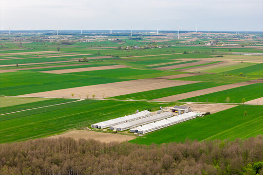 Aerial view of a large modern agricultural facility with long white buildings surrounded by a patchwork of green farm fields and distant wind turbines Zuromin, Masovian Voivodeship, Poland.