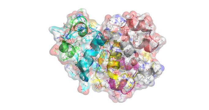 Insulin Icodec, anticancer drug / long-acting basal insulin analogue, 3D molecule 4K