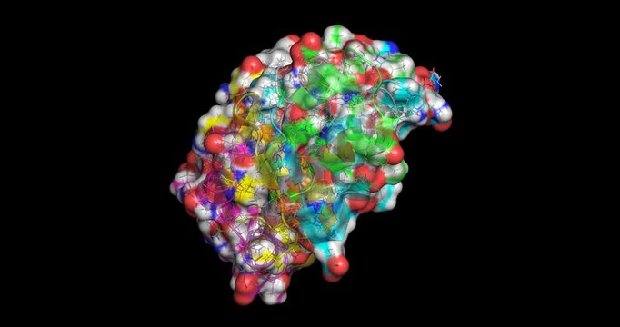 Insulin Icodec, anticancer drug / long-acting basal insulin analogue, 3D molecule spinning, 4K