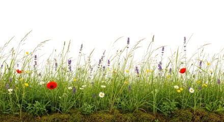 Obraz premium A vibrant meadow stretches across the bottom of the image, filled with a diverse collection of wildflowers and grasses.