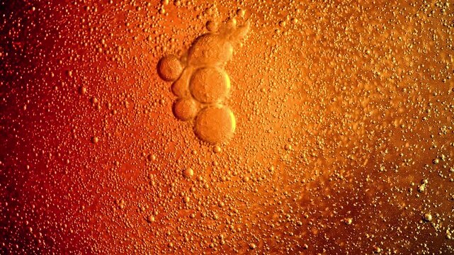 Macro Effervescent Bubbles Rising in Golden Amber Soda Liquid, with alpha channel.
