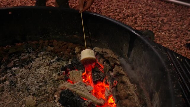 Close up of people roasting sweet marshmallows on wooden sticks over the glowing red embers of a campfire in a fire pit, a classic outdoor activity during a cozy evening at the campsite