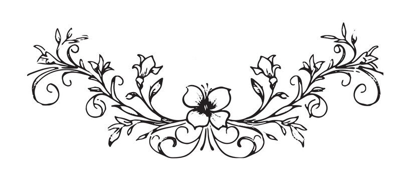 Calligraphic page dividers. Retro decoration, book ornament, chapter and elegant separator
