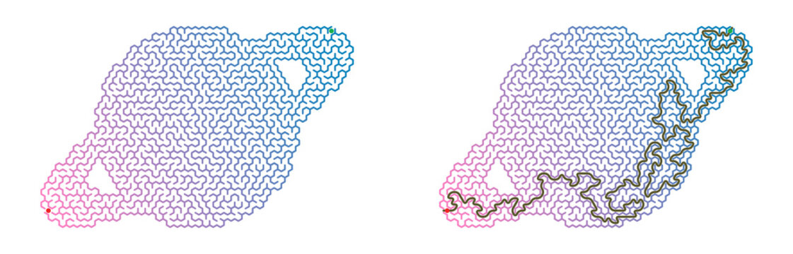 Concept of Saturn Maze and its Solution Visualized in Abstract Style  