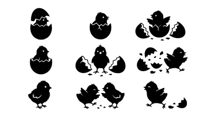 Fototapeta premium Hatching chick silhouette icons vector collection isolated on white