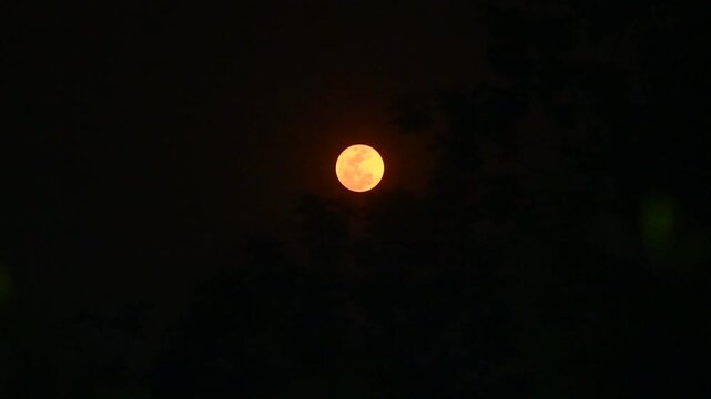 The 2026 Pink April's full moon, the first full moon of spring, is appearing as a "micro moon" because it coincides with its farthest point from Earth (apogee), making it look slightly smaller.