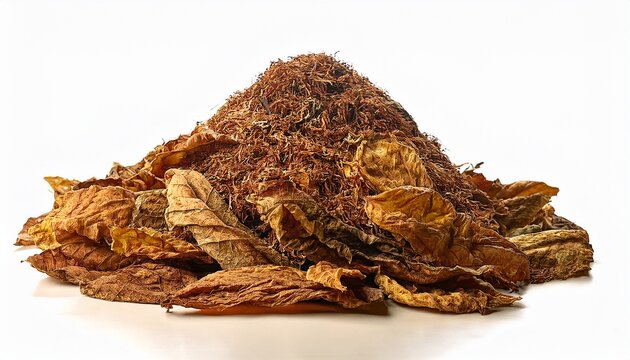 buy dried tobacco leaves Leaf for Every Application and rustic French Dark Air Cured Wrapper