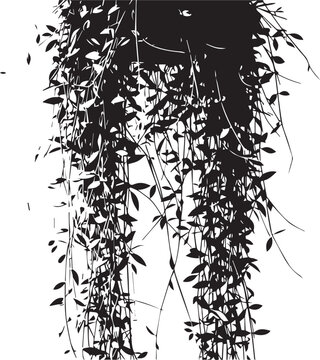 Green trailing pathos plant hanging in light