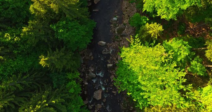 Gentle flyover above a rocky mountain river during spring sunrise with realistic ambient sounds of river and birds. Peaceful flowing water surrounded by green forest landscape with morning light. 