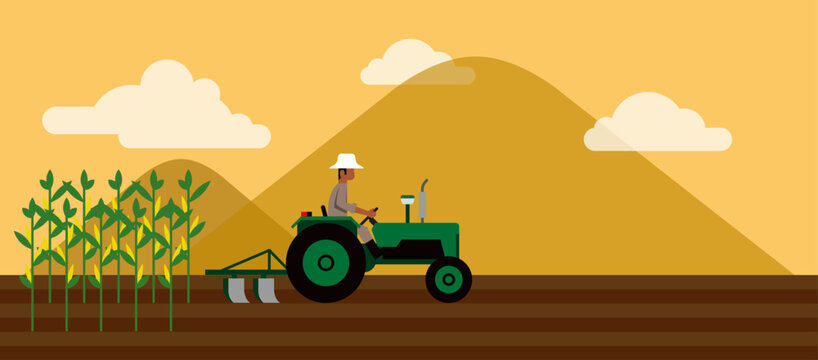 Farmer driving a green tractor in a cornfield with mountains background, flat vector illustration.