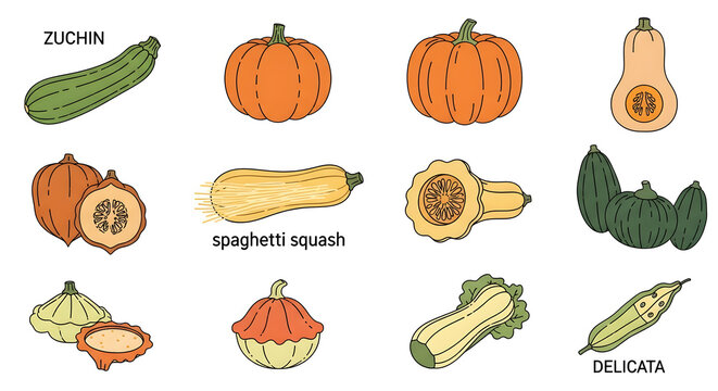 Various types of squash and gourds are displayed on a table indoors