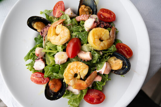 Seafood Salat - Lecker angerichteter Salat mit Meeresfr&uuml;chten