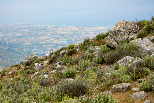 Landschaft am Dikeos, dem mit 846 Meter h&ouml;chsten Berg auf der griechischen Dokanes  Insel Kos