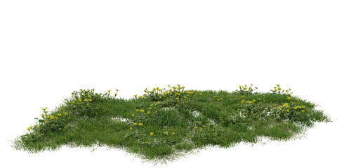 Fototapeta premium Flower meadow terrain with yellow wildflowers isolated on transparent background. 3D rendering.