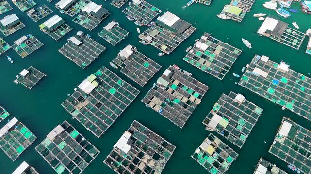 Aerial view of marine farm facilities, including cages for raising marine animals for food. A fishing boat is among them. A view of a fishing village on a tropical island
