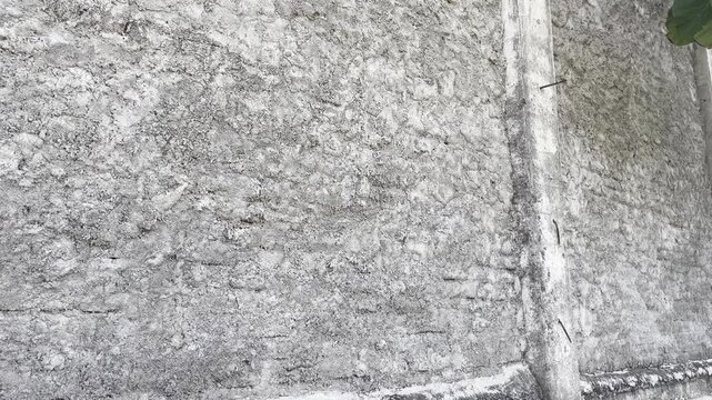 Old weathered concrete wall texture with vertical cracks and green moss
