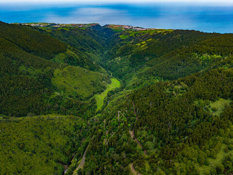 Aerial view of the lush green valley of Reserva Natural do Pico da Vara with dense forests and coastal cliffs overlooking the ocean in Nossa Senhora dos Remedios, Azores, Portugal.