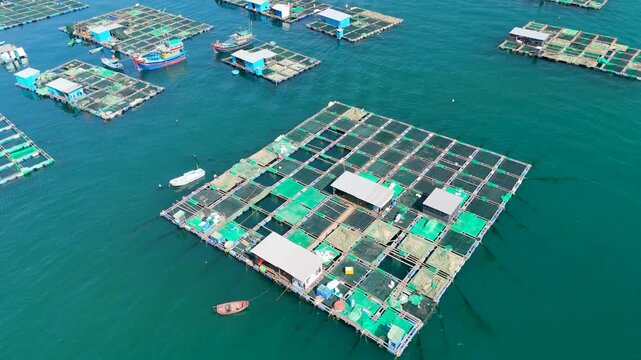 Aerial top view of marine farms structures of aquaculture cages for growing marine animals for food. View of fishing village on tropical island province