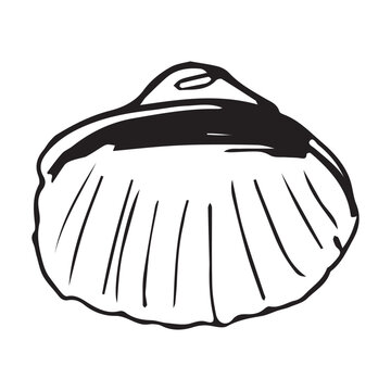 Scallop shell inner view hand drawn sketch, black line art. Single valve back side doodle, concave seashell outline, beach vintage vector isolated white.