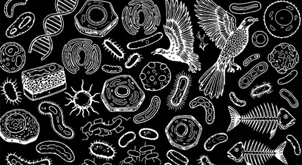 Naklejka premium Detailed Hand Drawn Microorganisms and Fossils Illustration Set.