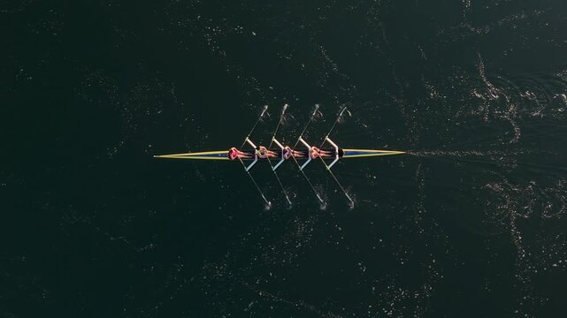 Four determined women rowers glide across the serene Halifax Bay at sunrise. Their connection to nature shines as they showcase fitness and teamwork in the tranquil morning light