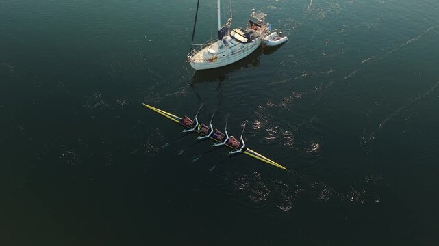 Four determined women row across the tranquil waters of Halifax Bay, showcasing their strength and unity amid the soft glow of the morning sun
