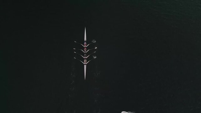 Four women row through the serene waters of Halifax Bay at sunrise, showcasing their dedication and connection to nature in the glow of early morning light
