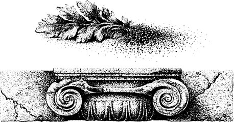 Obraz premium Acanthus leaf and volute capital fragment on stone surface