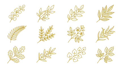 Botanical Leaf and Branch Icon Set © Dodol Creative Stock