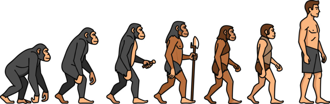 Human evolution stages from primitive ape to modern man cartoon infographic vector illustration isolated on white background