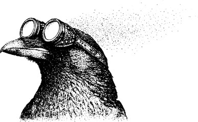 Obraz premium Crow wearing round goggles looking left on white background