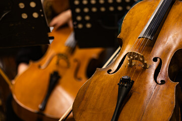 Musicians playing cellos during classical orchestra concert close up © Ruslan