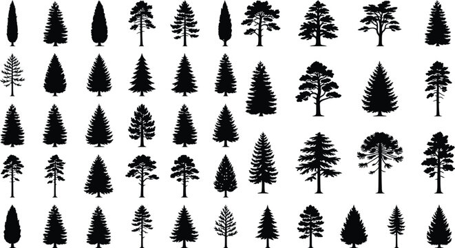 Variety of black silhouette evergreen trees collection for seasonal design elements