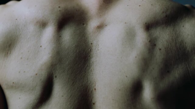 Close up of man back muscles contracting during physical exercise