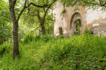 Facade of a ruined house amidst lush vegetation © Néstor MN