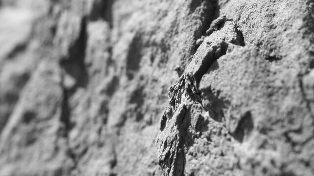 Grey Rock Background Close-Up